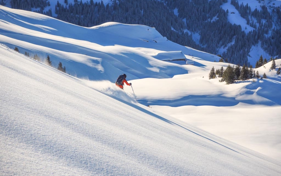 Ski Tour Guides Swiss Alps